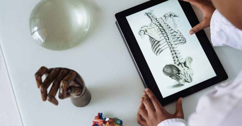 Scientific Research - Unrecognizable African American scientist studying anatomy with tablet