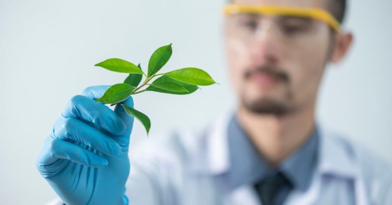 Scientific Research - Person Holding Green-leafed Plant