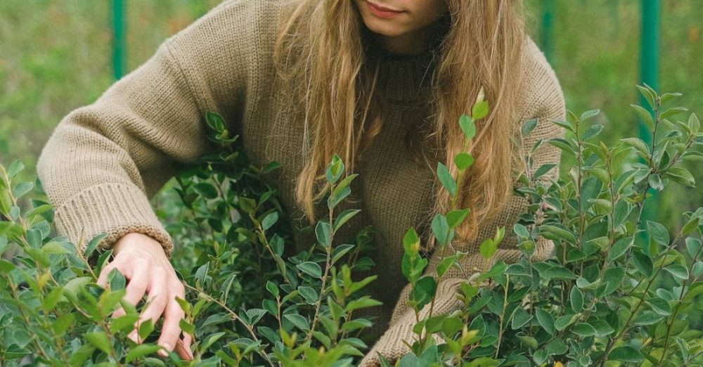 Biology - Serious woman working in hothouse with plants with green foliage cultivating for landscaping