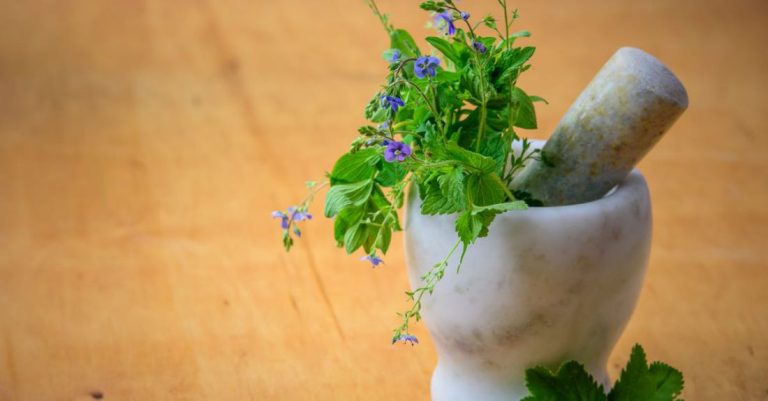 Medicine - Purple Petaled Flowers in Mortar and Pestle